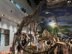 -自贡恐龙博物馆