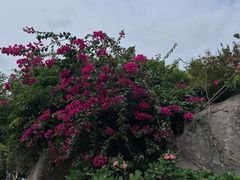 -小二郎私房菜(鼓浪屿店)
