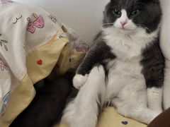 -宠颐生宠物医院·心肾内科·猫专科诊疗中心宠巢店
