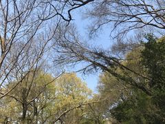 -大蜀山国家森林公园