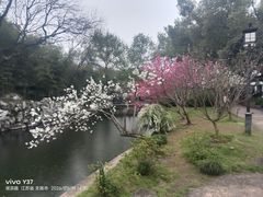 -无锡蠡湖国家湿地公园-蠡园