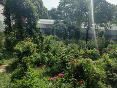 -昆明市金殿名胜区