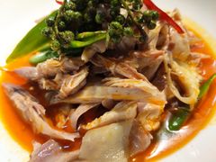 椒麻鸡-必点海鲜·鲅鱼水饺(鞍山西道店)