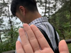 -罗田薄刀峰风景区