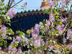-潭柘寺景区