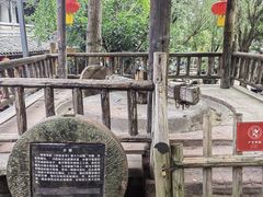 -黄龙溪古镇