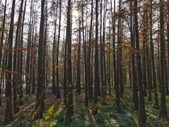 -虎洞山庄食府