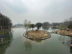 -武汉动物园