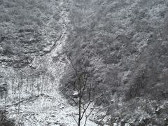 -王顺山国家森林公园