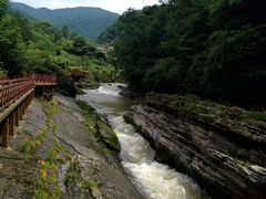 -黎坪国家森林公园
