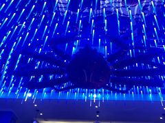 -蟹之国·精品蟹料理(极地店)