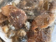 -港畔赶海蒸汽海鲜烧烤自助(仙螺岛店)