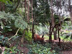 -深圳仙湖植物园