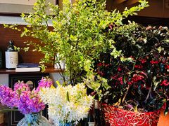 -肆海小川菜酒馆Wine Bistro (青年路店)