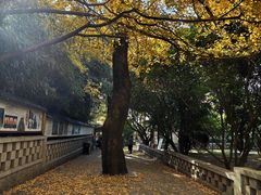 -青岛崂山太清宫