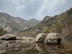 -青龙山生态文化旅游区