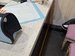 -宠爱国际动物医院·疑难骨科·心肾内科·皮肤科(太阳宫店)