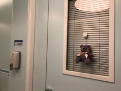 点击看大图 -杭州贝瑞斯美华妇儿医院·早孕·产检·儿科