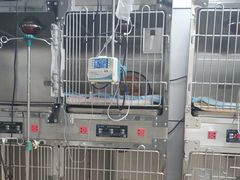 -成都民大动物医院