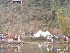-靖西鹅泉风景区