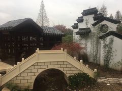 -苏州上方山国家森林公园