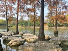 -上海长兴岛郊野公园