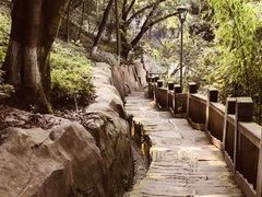 -重庆平顶山公园