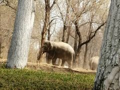 -北京野生动物园