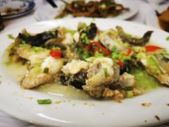 -老三鱼仔店