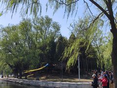 -二一九公园