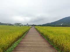 -风云岭森林公园