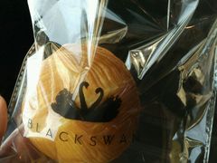 天鹅蛋-BLACKSWAN黑天鹅(环球店)