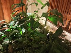 -浅深(北京北四环精品店)