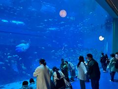 -南昌融创海世界
