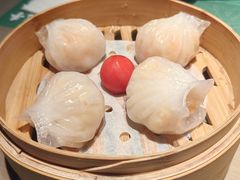 -茶港·点心·啫啫煲(王府井店)