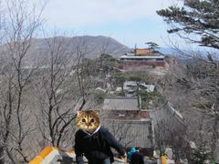 -妙峰山风景名胜区