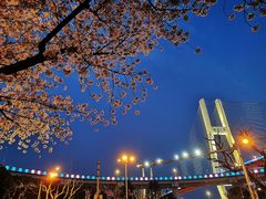 -上海南浦大桥长途旅游客运站