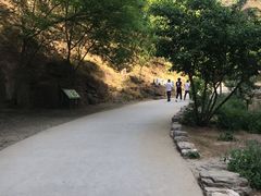 -白水寺森林公园