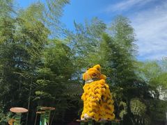 -报恩禅寺