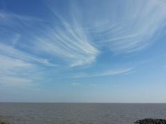 android_upload_pic-南汇嘴观海公园