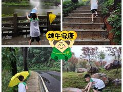 -广州市帽峰山景区