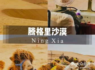 中卫|我发现了腾格里沙漠里的宝藏!