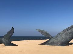 -烟台金沙滩海滨公园