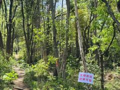 -青龙山国家森林公园