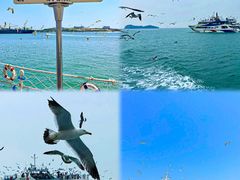 -海驴岛(荣成市)