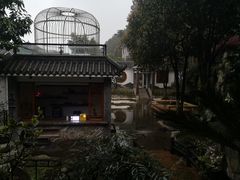 -老幺泉水鸡