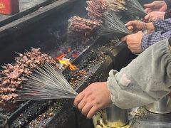 -杨记烤肉老店