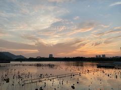 -顺峰山公园