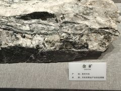 -贵州省地质博物馆