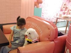 -百好乐宠物友好餐厅(朝外大街店)